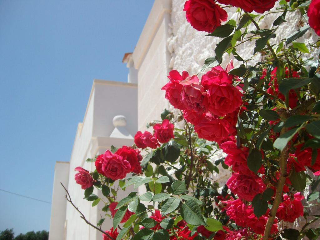 Masseria Nuova Konuk evi San Marzano di San Giuseppe Dış mekan fotoğraf