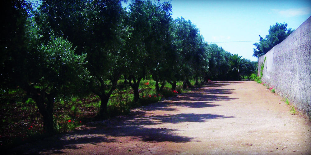 Masseria Nuova Francavilla Fontana Dış mekan fotoğraf