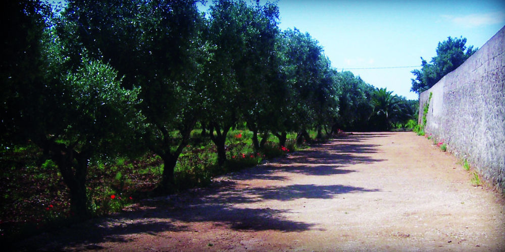 Masseria Nuova Konuk evi San Marzano di San Giuseppe Dış mekan fotoğraf